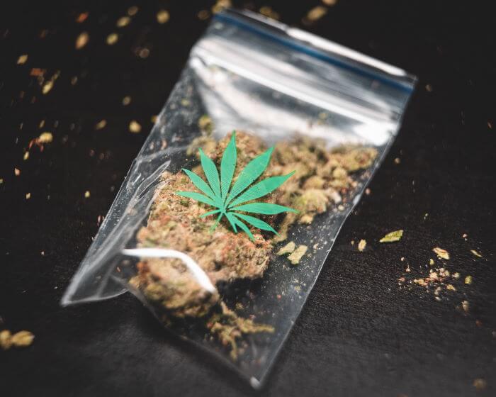 cbd-drogue