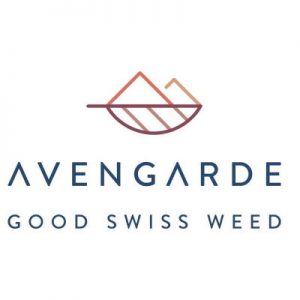 avengarde