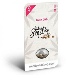 graines kush cbd