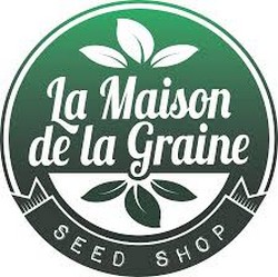 la maison de la graine logo