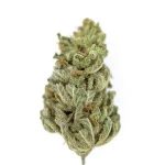 amnesia-cbd-lafermeducbd