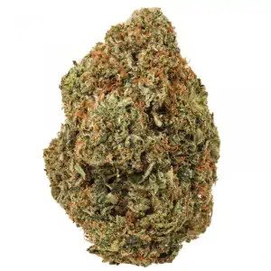 amnesia-cbd