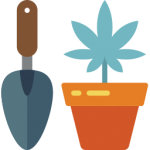cbd-bio