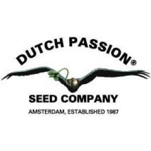 dutch-passion-logo