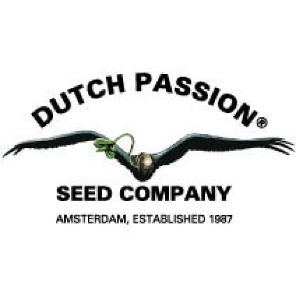 dutch-passion-logo