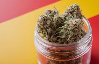 el mejor CBD en España
