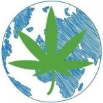 green-power-cbd-shop-1