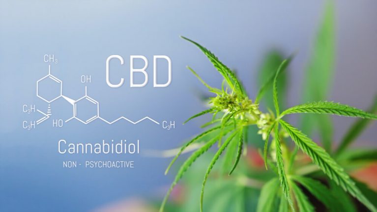 Qu’est-ce que le CBD