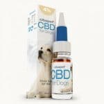 huile-de-cbd-pour-chiens-Cibdol