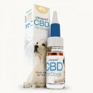 huile-de-cbd-pour-chiens-Cibdol