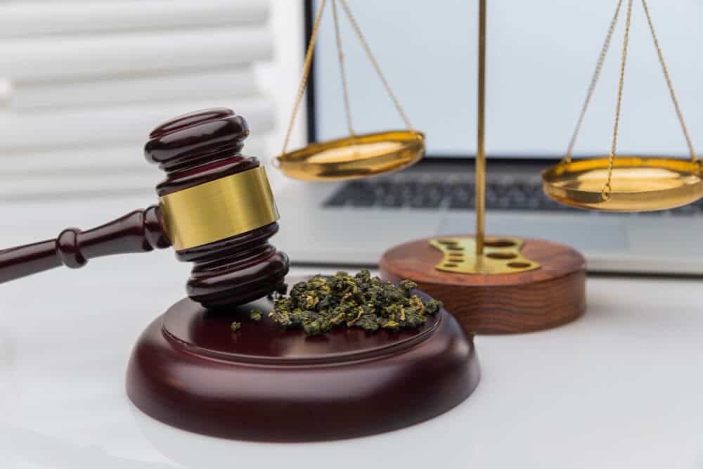 test salivaire cbd