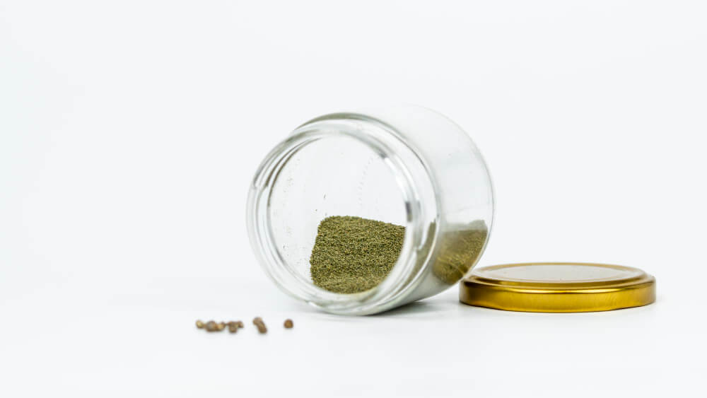 Consommer les graines cbd de chanvre en poudre 