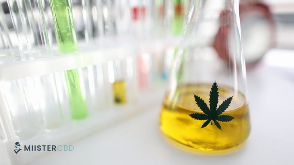 Comment lire un certificat d'analyses CBD ?