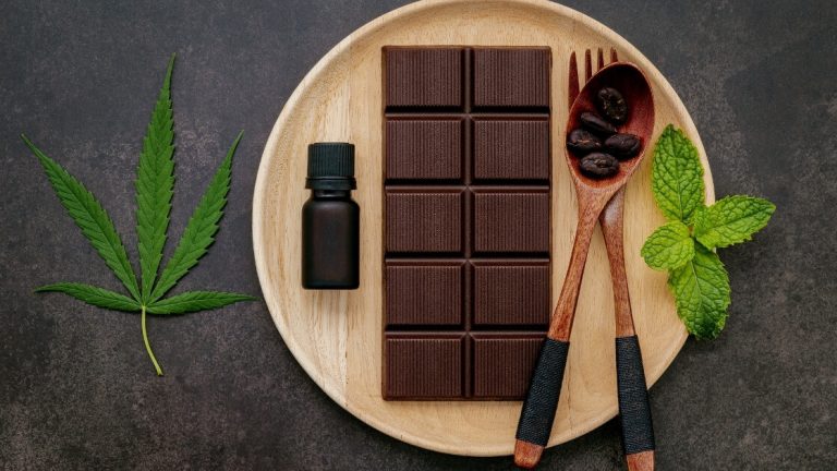 chocolat CBD