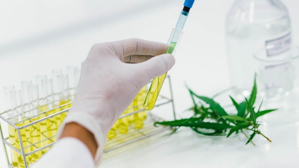 laboratoire-cbd 1