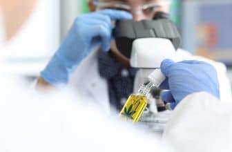laboratoire-cbd