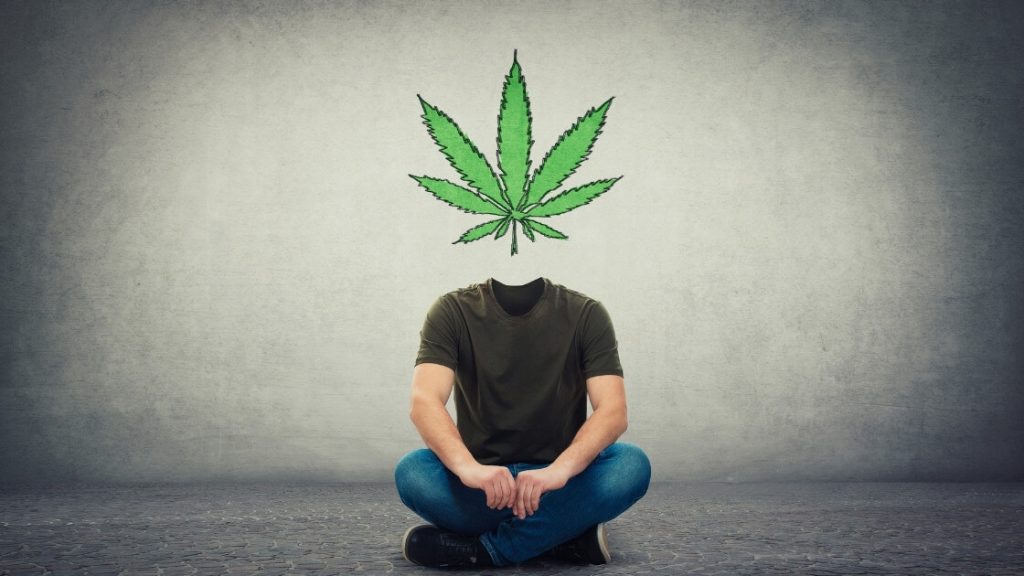 business plan CBD