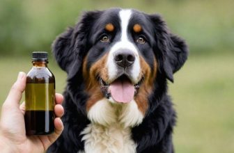 mejor aceite CBD para perros