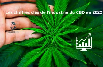 Les chiffres clés de l’industrie du CBD en 2022
