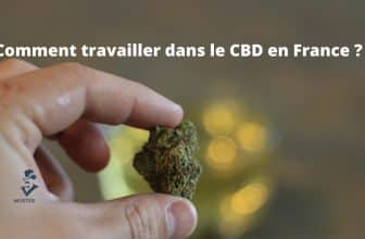 travailler-cbd