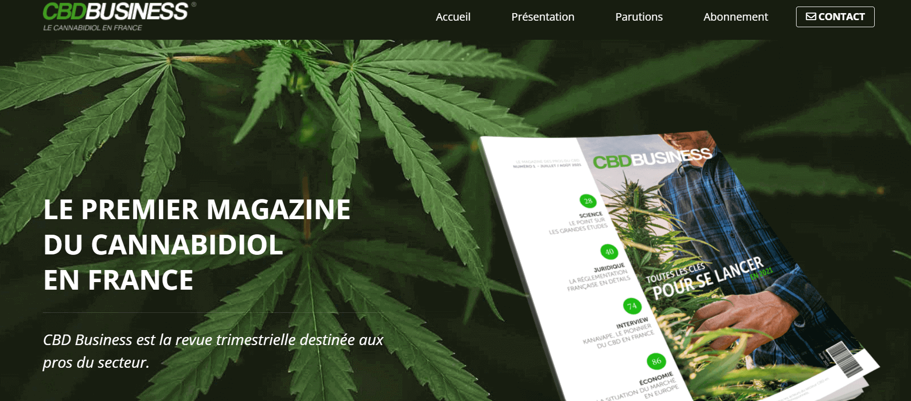 cbd business