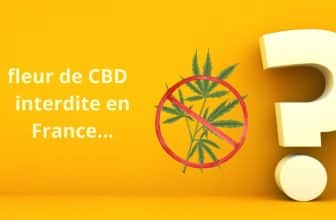 fleur-cbd-interdite-en-france (1)