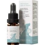 Huile CBD pour chien - CBD Vital