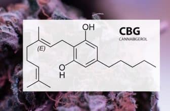 cbg-et-sommeil (1)