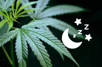 fleurs-cbd-pour-dormir (1)