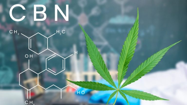 quest-ce-que-le-cbn (2) (1)