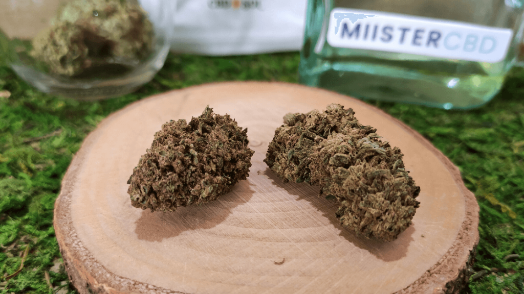 Test Fleurs CBD Sol 2023