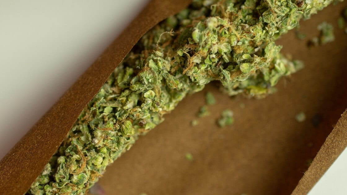 comment-consommer-fleur-cbd (1)