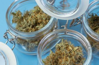conserver-fleurs-cbd (1)