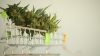 qui-peut-vendre-du-cbd (1)