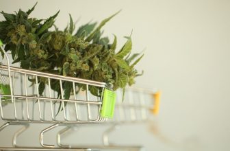 qui-peut-vendre-du-cbd (1)