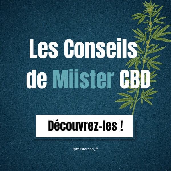 Les conseils de MiisterCBD