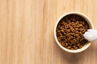 comprime-cbd-pour-chien (1)