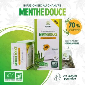 InfusionsPyramidesMentheDouce-certified