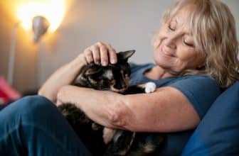 cbd pour chat arthrose