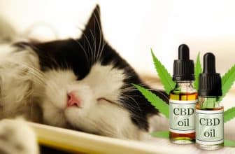 cbd pour chat avis