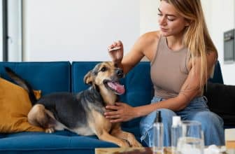 cbd pour chien effets secondaires