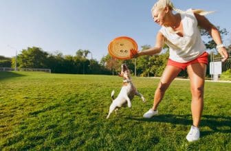 cbd pour chien hyperactif
