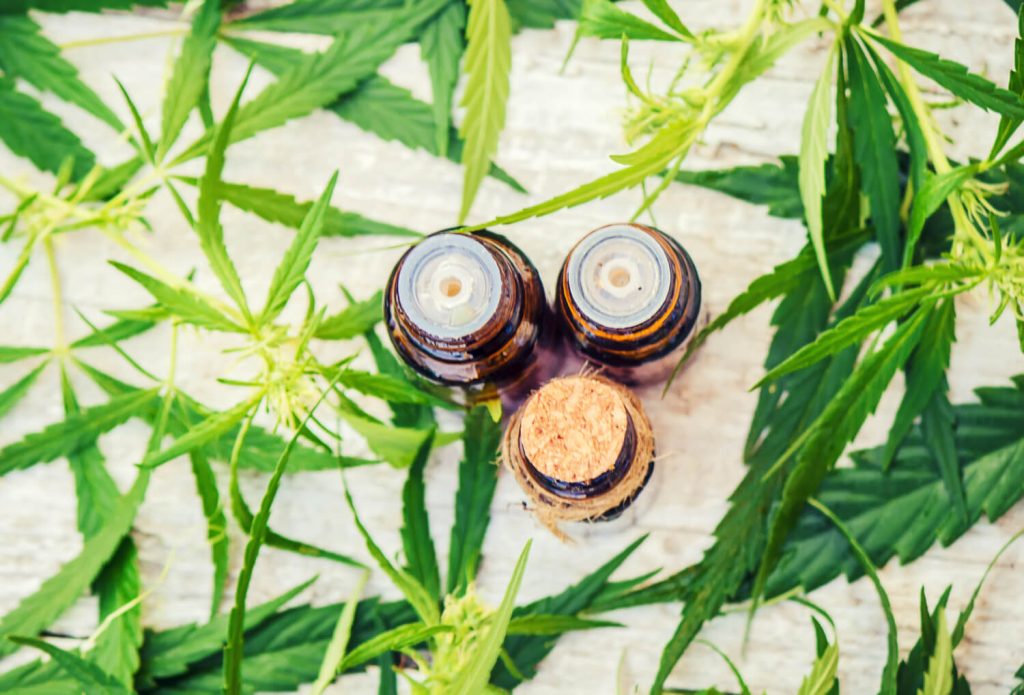 huile de chanvre ou cbd les differences