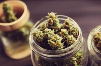 Notre sélection de fleurs CBD en promo