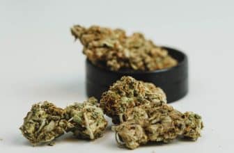 fleur cbd livraison 24h