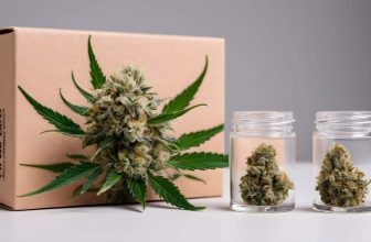 Qué son las flores CBD y para qué sirven
