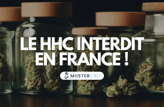 hhc interdit en france ansm classe l’hexahydrocannabinol sur la liste des stupéfiants