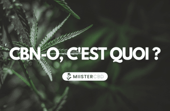 qu'est-ce que le cbn-o