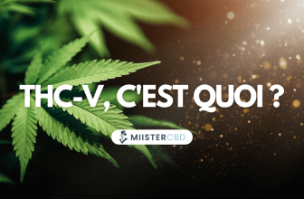 qu'est ce que thc-v