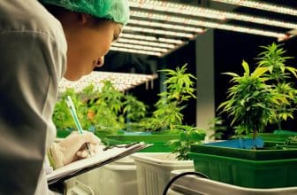 L’armée portugaise se lance dans la production de cannabis médical